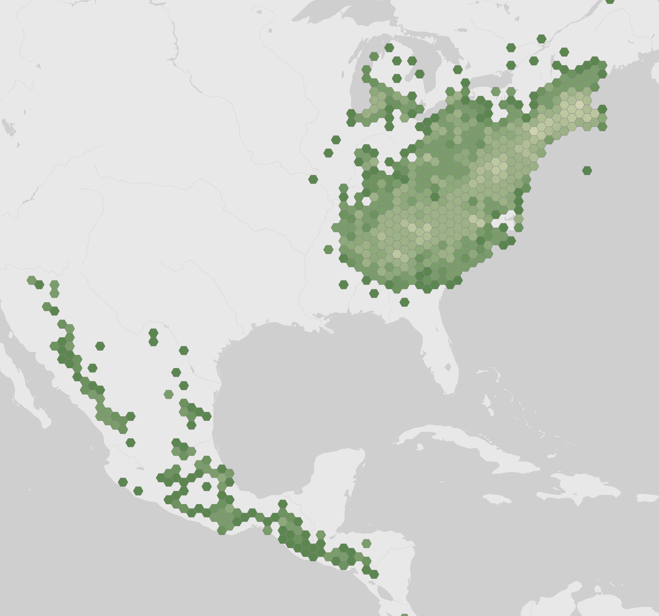 Carte des observations enregistrées de Chimaphila maculata