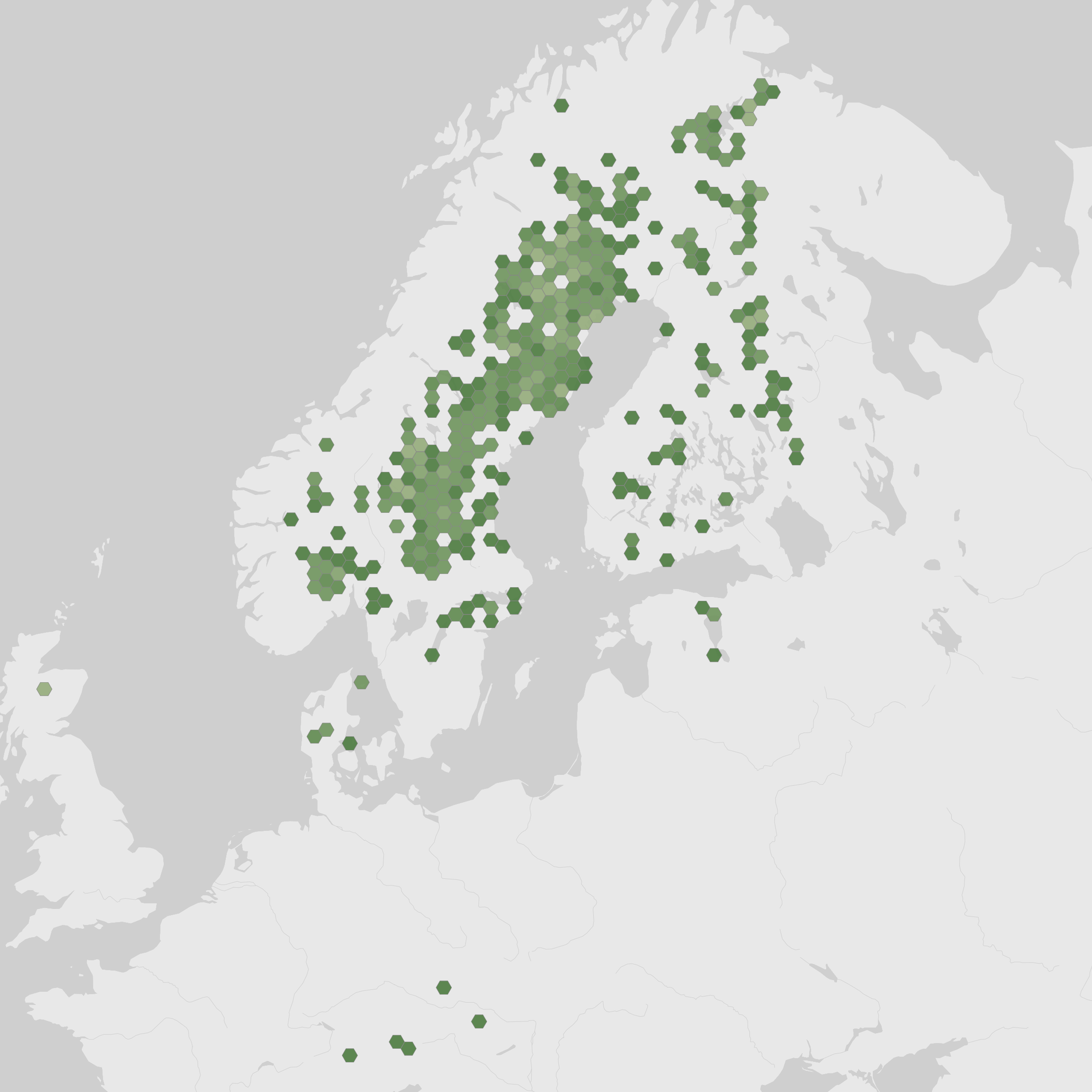 World map showing recorded occurrences of Hydnellum gracilipes.