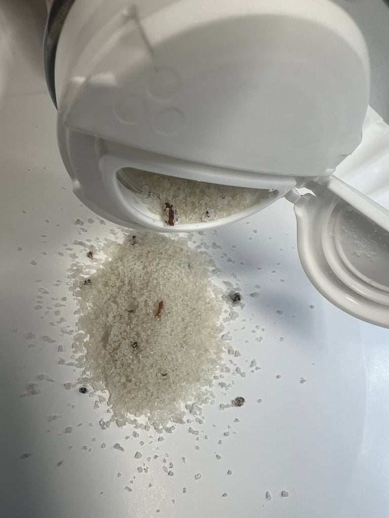 울퉁불퉁한 표면과 옅은 황갈색을 띠는 덩이버섯 모양의 흰색 송로버섯